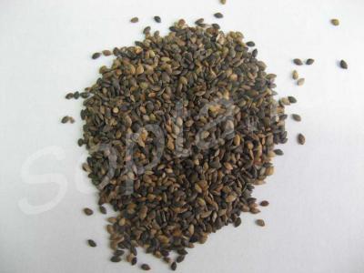     1- 