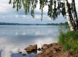 Полуостров 50 Га в живописном месте на р. Ёлнать в Ивановской обл. / Барнаул