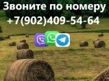 Аренда этого дома возможна на длительный срок! село Тюменцево, Алтайский край / Тюменцево
